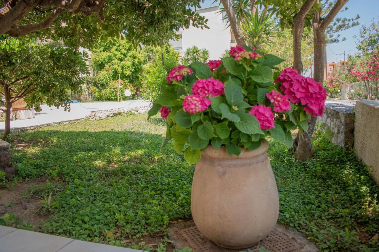Evdokia Αpartments & Dimitra Village Agia Marina  Екстер'єр фото