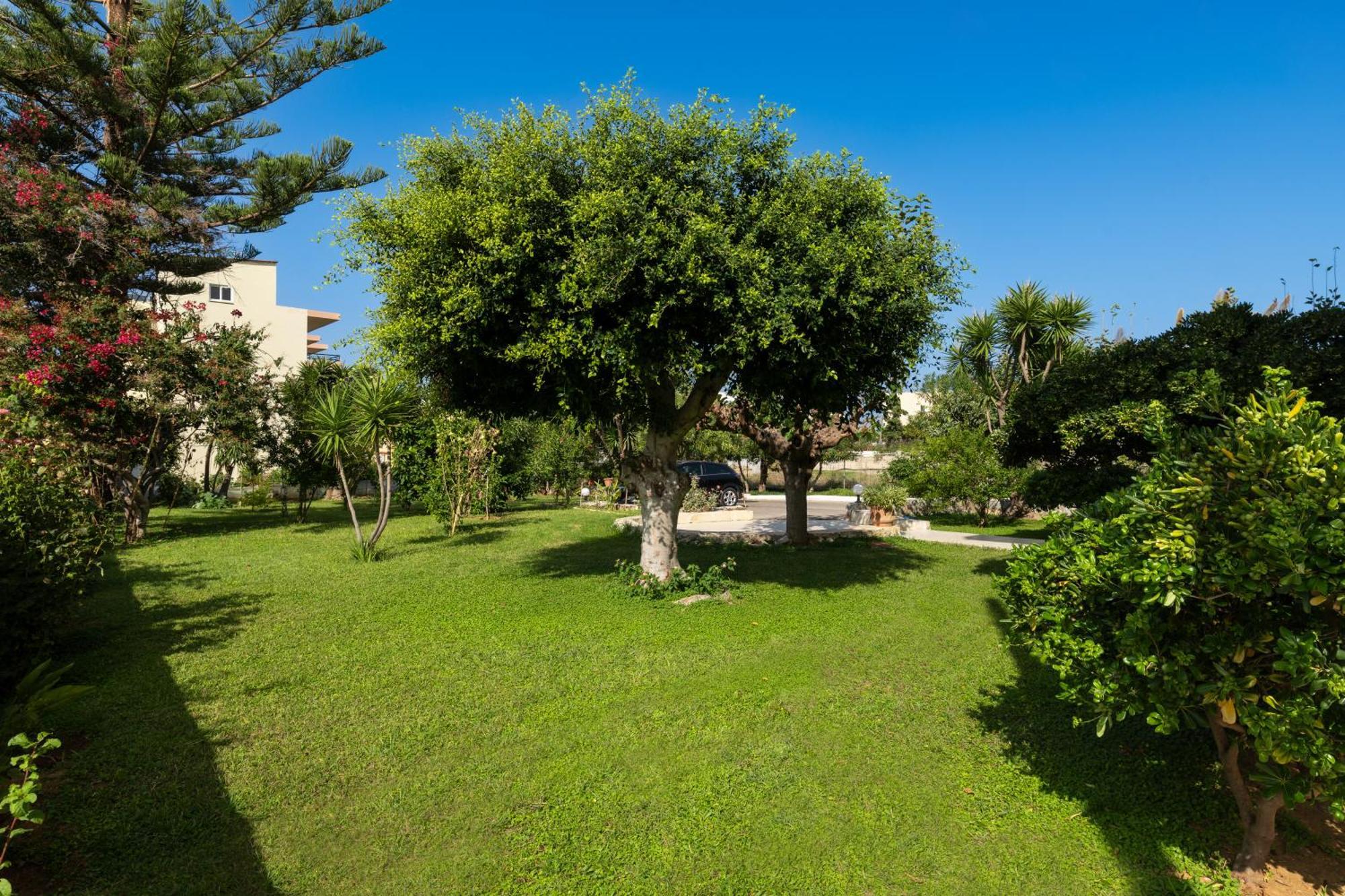 Evdokia Αpartments & Dimitra Village Agia Marina  Екстер'єр фото