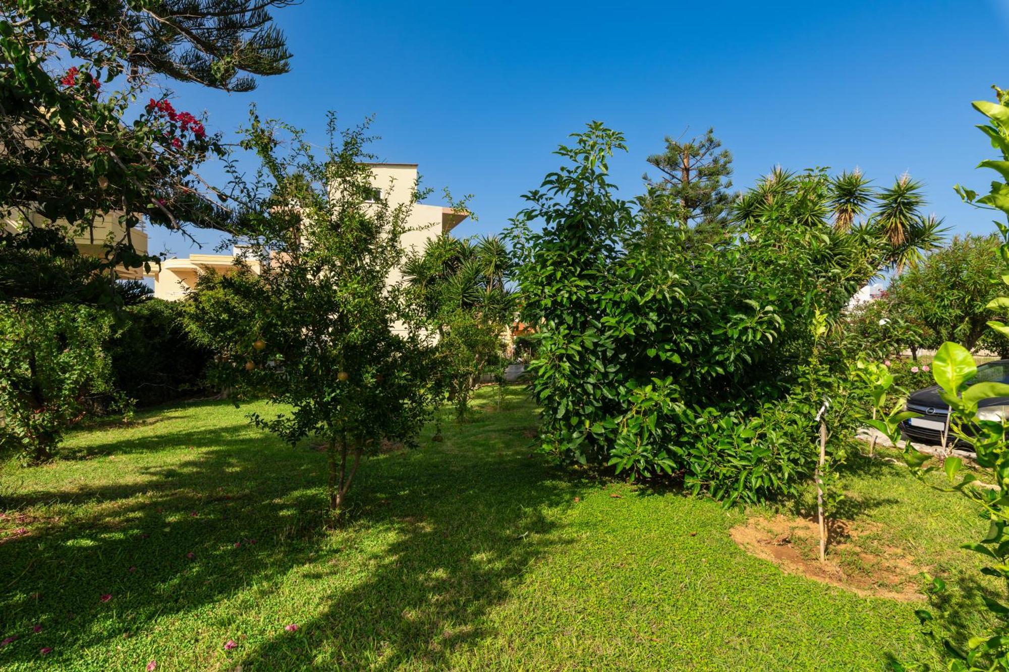 Evdokia Αpartments & Dimitra Village Agia Marina  Екстер'єр фото